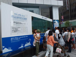 P8145145shuusei.JPG