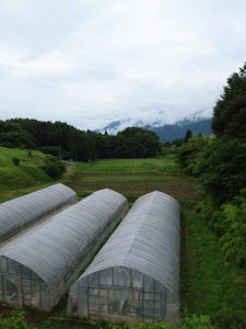 P7282696shuusei.JPG