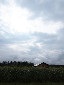 P7282698shuusei.JPG