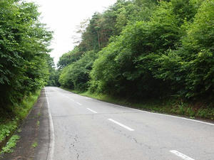 P7282700shuusei.JPG