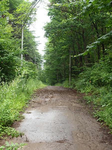 P7282714shuusei.JPG