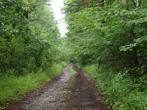 P7282716shuusei.JPG