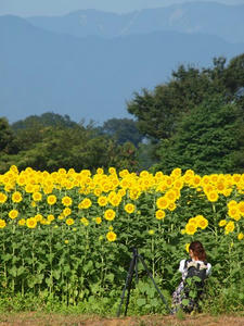 P8165339shuusei.JPG