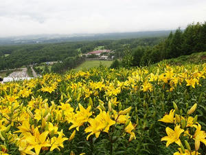 P7282890shuusei.JPG