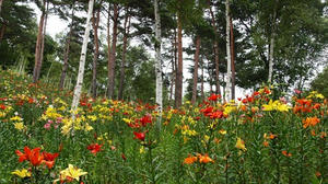 P7282799shuusei.JPG