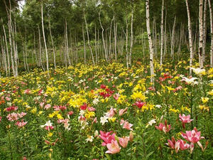 P7282821shuusei.JPG