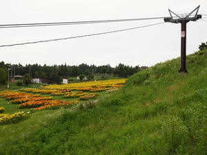 P7282859shuusei.JPG