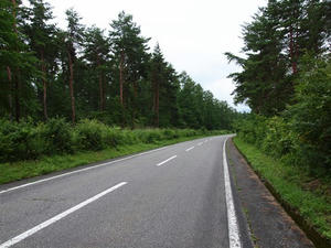 P7282934shuusei.JPG