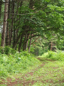 P7282725shuusei.JPG