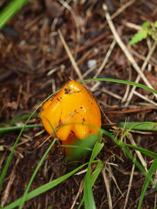 P7282939shuusei.JPG
