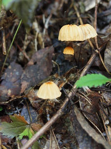 P7282948shuusei.JPG