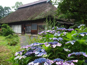 P7282963shuusei.JPG