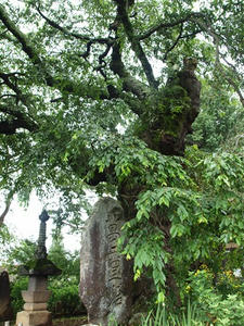 P7282967shuusei.JPG