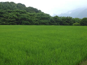 P7282972shuusei.JPG