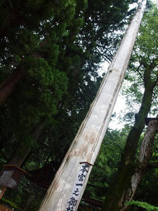 P7293251shuusei.JPG