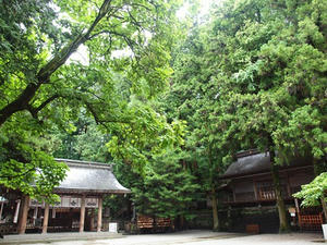 P7293269shuusei.JPG