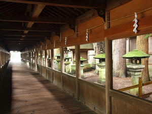 P7293291shuusei.JPG