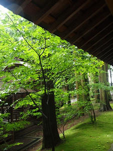 P7293292shuusei.JPG