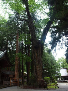 P7293303shuusei.JPG