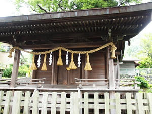 P7293319shuusei.JPG