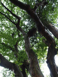P7293322shuusei.JPG