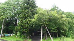 P7293326shuusei.JPG