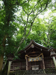 P7293329shuusei.JPG
