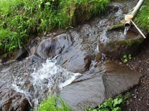 P7293331shuusei.JPG