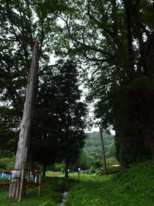 P7293333shuusei.JPG