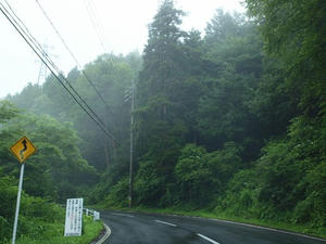 P7293345shuusei.JPG