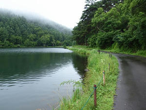 P7293374shuusei.JPG