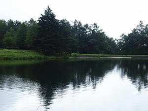 P7293371shuusei.JPG