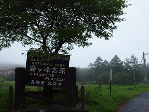 P7293401shuusei.JPG