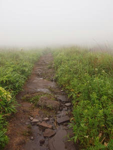 P7293444shuusei.JPG