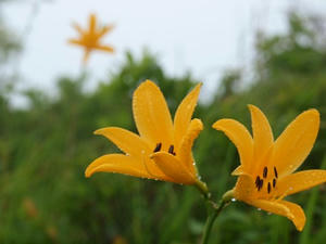 P7293472shuusei.JPG