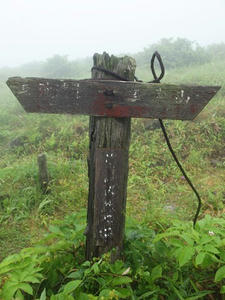 P7293475shuusei.JPG