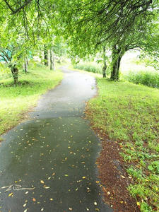 P7293564shuusei.JPG