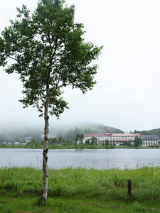 P7293567shuusei.JPG