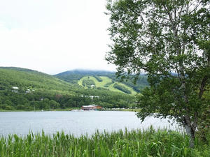 P7293598shuusei.JPG