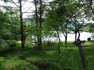 P7293602shuusei.JPG