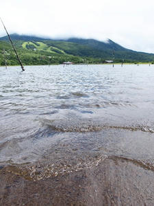 P7293608shuusei.JPG