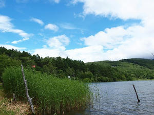 P7293611shuusei.JPG