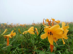 P7293638shuusei.JPG