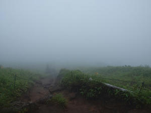 P7293657shuusei.JPG
