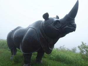 P7293689shuusei.JPG
