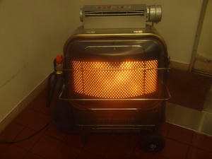 P7293820shuusei.JPG