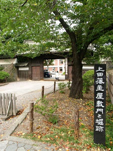 P8250053shuusei.JPG