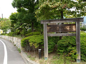 P8250070shuusei.JPG