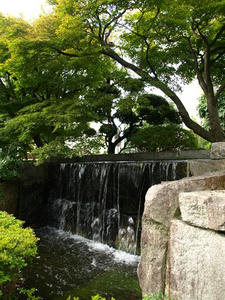 P8250069shuusei.JPG