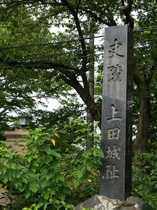 P8250088shuusei.JPG